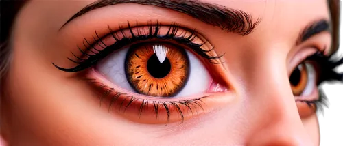 women's eyes,eyelash extensions,eye scan,eyes makeup,eye,eyes line art,eye tracking,contact lens,eyelid,ophthalmology,anime 3d,reflex eye and ear,eye examination,eye cancer,children's eyes,eye ball,eyeball,pupil,3d rendering,eyes,Art,Classical Oil Painting,Classical Oil Painting 43