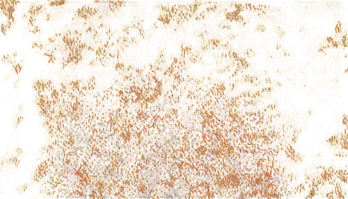 kngwarreye,klimke,klimt,klimley,orange tree,klimts,brown mold,birch tree background,gleditsia,meditrust,background abstract,finch in liquid amber,postimpressionist,orange blossom,terrazzo,orangefield,nuytsia,degenerative,orange petals,ochre,Photography,Black and white photography,Black and White Photography 05