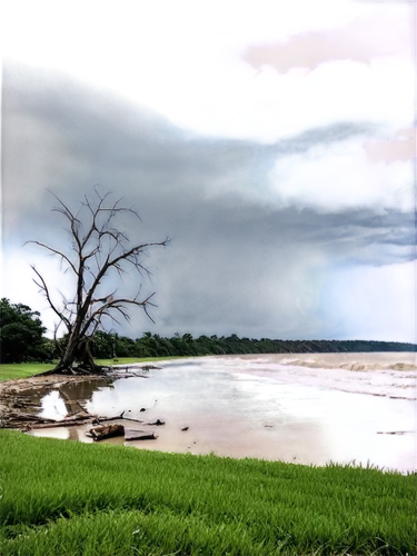 nudgee,nightcliff,tornadic,catatumbo,aurukun,lightning storm,bharathapuzha,superstorm,storms,yirrkala,kakadu,tormenta,karangwa,maningrida,thunderstorm,storm ray,substorms,thundershower,floodplains,microburst,Conceptual Art,Daily,Daily 03