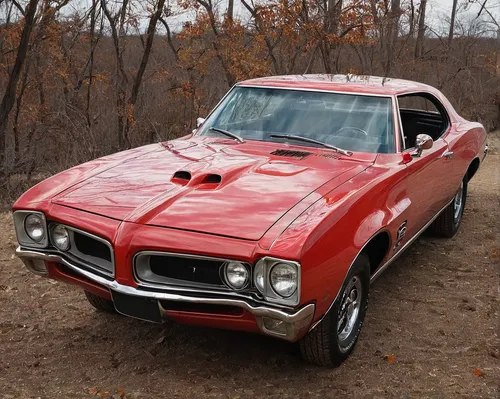 pontiac trans-am 1970,pontiac firebird,pontiac gto,pontiac tempest,amc javelin,pontiac grand prix,gto,dodge super bee,mercury cyclone,firebird,pontiac,oldsmobile 442,ford torino,pontiac 2+2,pontiac grand am,amc amx,pontiac ventura,plymouth barracuda,muscle car,buick skylark,Photography,Documentary Photography,Documentary Photography 35