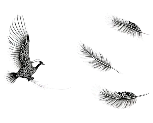 fantails,birds in flight,birds flying,flying birds,bird wings,doves of peace,whitewings,magpies,shrikes,cygnes,bird flight,sparrows,tropicbirds,pajaros,antbirds,butcherbirds,bird fly,bird wing,passerines,cuckoo light elke,Illustration,Black and White,Black and White 11