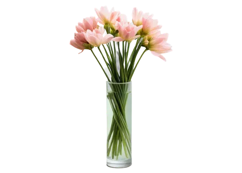 flowers png,artificial flower,flower background,flower vase,tulip background,artificial flowers,floral digital background,pink lisianthus,flower arrangement lying,flower design,flower wallpaper,glass vase,pink floral background,floristic,flower arrangement,pink carnation,pink tulip,paper flower background,vase,carnation flower,Art,Artistic Painting,Artistic Painting 08