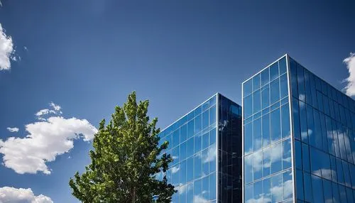 Modern architecture firm, Denver Colorado, urban skyscraper, glass and steel structure, minimalist design, sleek lines, reflective windows, rooftop garden, cityscape view, mountain range backdrop, sun