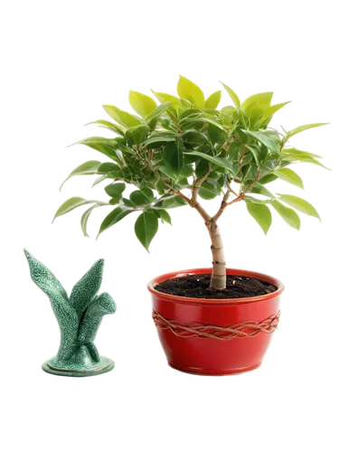 potted palm,bonsai tree,potted tree,androsace rattling pot,ficus,dwarf tree,money plant,growing mandarin tree,pot plant,bonsai,potted plant,podocarpus,adenium,houseplant,japanese kuchenbaum,maple bonsai,cestrum,garden pot,container plant,terracotta flower pot,Conceptual Art,Oil color,Oil Color 06