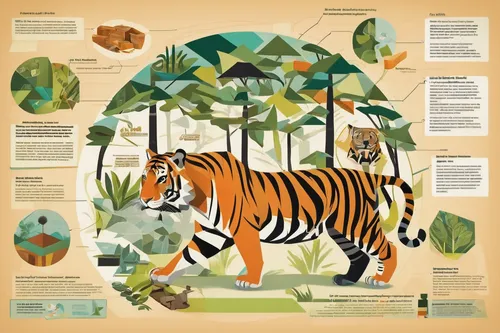 tropical animals,forest animals,woodland animals,sumatran tiger,animal world,wild animals,exotic animals,vector infographic,nature conservation,animal icons,animal zoo,animalia,animal shapes,tigers,wildlife reserve,tree species,terrestrial animal,a tiger,conservation,chestnut tiger,Art,Artistic Painting,Artistic Painting 45