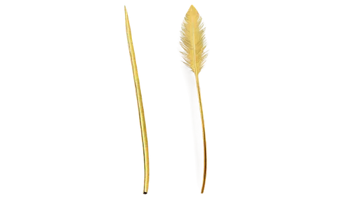 spikelets,feather bristle grass,yellow nutsedge,strand of wheat,feather jewelry,peacock feather,bird feather,chicken feather,feather,hawk feather,prince of wales feathers,wheat ear,cattail,decorative arrows,feather pen,swan feather,corn straw,quills,palm leaf,grass blades,Art,Artistic Painting,Artistic Painting 26