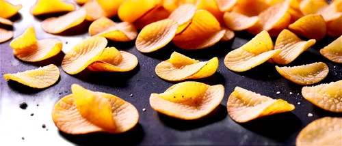 sliced tangerine fruits,dried lemon slices,saffron milk caps,orange slices,russets,dried petals,carota,cloves of garlic,garlic cloves,peels,onion peels,cut fruit,pieces of orange,pappardelle,peppered orange,physalis,cape gooseberry,tortelli,peeled sunflower seeds,fresh pasta,Illustration,Black and White,Black and White 31