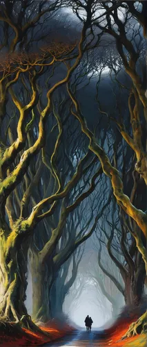 the dark hedges,crooked forest,hollow way,fantasy landscape,druid grove,elven forest,fantasy picture,haunted forest,tree and roots,tree grove,northrend,lava cave,mushroom landscape,forest road,forest landscape,forest tree,the forests,burning tree trunk,the trees,the roots of trees,Conceptual Art,Oil color,Oil Color 03