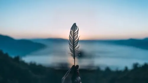 expand image as a youtube thumbnail,a person holding up a feather with the water in the background,nature background,mountain sunrise,bokeh,background bokeh,spikelets,spruce needle