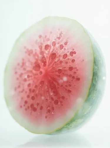 Close-up X-ray, translucence minimalist half watermelon in simple white background full of water drops, Lotus flower and lotus leaf, frosted glass blur covered, multiple exposures, macro photography, 