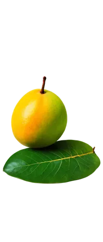 Ripe mango, yellow skin, green leafy top, sweet juicy flesh, solo, close-up, macro shot, soft natural light, shallow depth of field, warm color tone, vibrant texture, studio photography style.,two ora