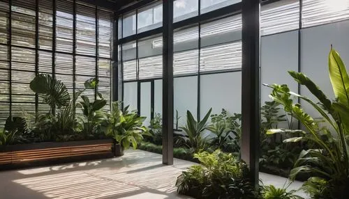 wintergarden,atriums,glasshouse,conservatories,sunroom,solarium,landscape designers sydney,landscape design sydney,conservatory,garden design sydney,glass wall,glasshouses,daylighting,plantation shutters,fernery,greenhouse,bamboo plants,balcony garden,exotic plants,glass panes,Illustration,Black and White,Black and White 26