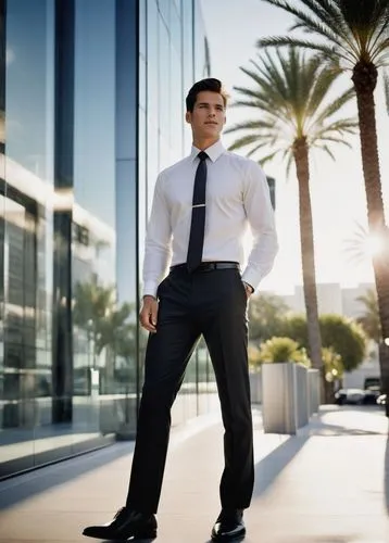 hotchner,hotch,businessman,men's suit,dyrdek,navy suit,business man,boreanaz,formal guy,black businessman,business angel,ceo,fitton,heusen,penniman,ferrazzi,dress shoes,caviezel,businesman,ansel,Photography,Documentary Photography,Documentary Photography 02