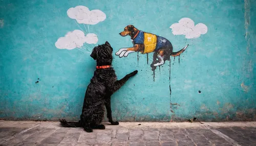 Dog Photography by Claudio Piccoli,galgo español,girl with dog,flying dog,flying dogs,cockapoo,boy and dog,street art,basset bleu de gascogne,beauceron,urban street art,streetart,street artists,saluki