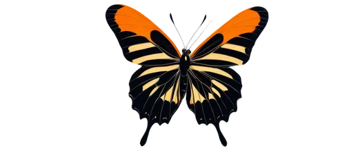 butterfly vector,butterfly clip art,euphydryas,heliconius hecale,viceroy (butterfly),zebra longwing,orange butterfly,butterfly moth,gulf fritillary,hesperia (butterfly),melitaea,western tiger swallowtail,brush-footed butterfly,monarch butterfly,papillon,dryas julia,zebra swallowtail,vanessa (butterfly),regal moth,lepidopterist,Art,Artistic Painting,Artistic Painting 39