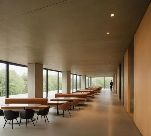 associati,snohetta,epfl,chipperfield,concrete ceiling,zumthor,Photography,General,Cinematic