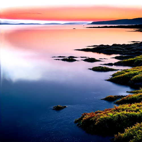 ocean background, calm waves, sunset sky, vibrant blue water, seaweed floating on surface, rocky shore, misty atmosphere, warm golden lighting, panoramic view, cinematic composition, high contrast, sh