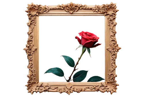 rose frame,peony frame,roses frame,frame rose,flower frame,decorative frame,flowers frame,floral frame,floral and bird frame,floral silhouette frame,botanical frame,flower border frame,frame flora,copper frame,flower frames,photo frame,art deco frame,clover frame,valentine frame clip art,mirror frame,Illustration,Realistic Fantasy,Realistic Fantasy 07