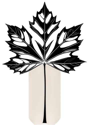 metasequoia,fir tree silhouette,cardstock tree,palm tree vector,dendrite,tree silhouette,thunberg's fan maple,brown tree,deciduous tree,flourishing tree,tree,small tree,maple foliage,larix,sapling,arbre,tree torch,sapindaceae,birch tree background,maple branch,Illustration,Black and White,Black and White 14