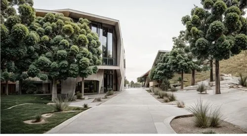 palo alto,archidaily,exposed concrete,californian white oak,modern architecture,corten steel,residential,landscape designers sydney,arborist,stanford university,school design,biotechnology research institute,landscape design sydney,new housing development,urban design,dunes house,paved square,business school,kirrarchitecture,palma trees,Architecture,Commercial Building,Modern,Organic Modernism 1