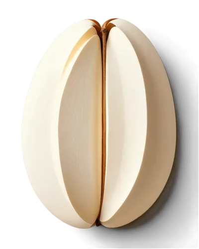 caciocavallo,egg shell,ellipsoid,pilgrim shell,ellipsoids,incandescent lamp,betelnut,operculum,onion seed,bisected egg,ensconce,wall light,keratoconus,golden apple,oval frame,parchment,bulb,eucharistic,pallial,sconce,Unique,Paper Cuts,Paper Cuts 05