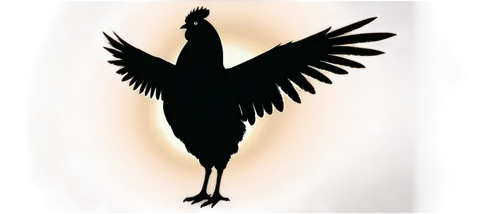 pajarito,phoenix rooster,cockerel,cockaigne,eurobird,uniphoenix,cockspur,chakavian,araucana,chamoiseau,pitcock,landfowl,polish chicken,poussaint,megapode,paumanok,bantam,campero,schweigaard,cockbain,Conceptual Art,Sci-Fi,Sci-Fi 30