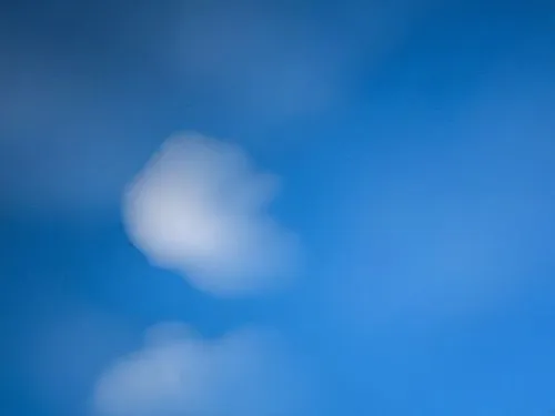 two giraffes standing in a field under blue skies,blue moment,abstract air backdrop,defocus,blue gradient,blaue,cat on a blue background