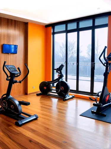 gym background, modern equipment, iron weights, treadmill, exercise bike, mirrored walls, wooden floor, bright overhead lights, panoramic view, shallow depth of field, high contrast, vibrant color ton