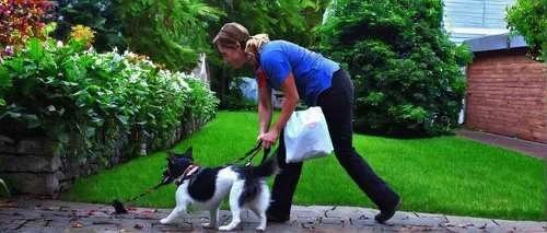 girl with dog,gardener,dog walker,dog training,boy and dog,walking dogs,dog walking,small münsterländer,smooth collie,veterinarian,companion dog,large münsterländer,landscape designers sydney,treeing walker coonhound,giant dog breed,my dog and i,landscape design sydney,autumn chores,legerhond,grass cutter,Conceptual Art,Oil color,Oil Color 09