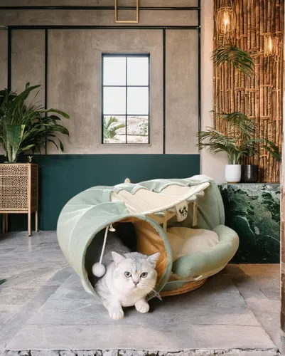 bamboo curtain,cat furniture,modern decor,interior design,airbnb icon,decor,chaise lounge,bamboo car,chaise longue,contemporary decor,cat's cafe,floor lamp,chinese pastoral cat,ceramic floor tile,home