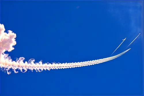 cnidarian,cnidaria,cotton swab,trumpetfish,anemone shrimp,fish skeleton,swan feather,box jellyfish,echinoderm,ornamental shrimp,sturgeon,elegans,dwarf shrimp,ostrich feather,shuttlecock,orbit insertion,mushroom coral,flaccid anemone,plume,shuttlecocks,Illustration,Abstract Fantasy,Abstract Fantasy 13