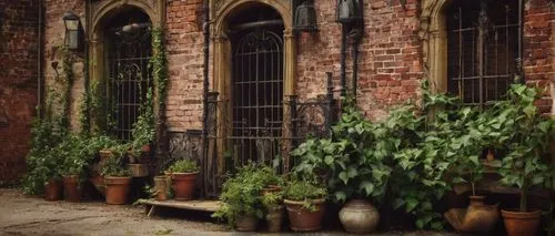 potted plants,rufford,greengate,old windows,middleport,folgate,plant pots,old brick building,cortile,row of windows,eveleigh,herbology,potteries,marshalsea,porticoes,wooden windows,courtyards,drainpipes,old buildings,potted plant,Art,Artistic Painting,Artistic Painting 25