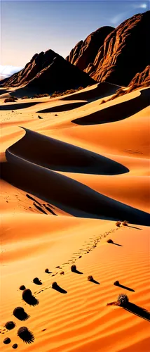 libyan desert,gobi desert,namib desert,the gobi desert,namib,crescent dunes,desert desert landscape,dunes national park,namib rand,namibia,admer dune,sahara desert,desert landscape,argentina desert,sand dunes,capture desert,dune landscape,sahara,the sand dunes,merzouga,Illustration,Black and White,Black and White 34