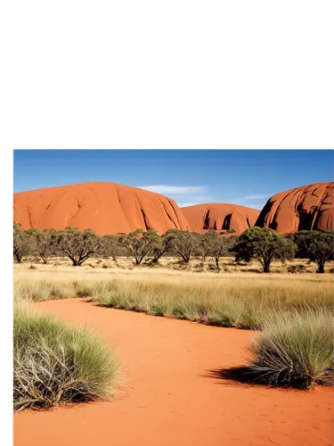 arid landscape,uluru,namib desert,sossusvlei,namib,desert desert landscape,desert landscape,dead vlei,ayers rock,dune landscape,desert background,arid,arid land,deserto,capture desert,argentina desert,spinifex,ayersrock,wittenoom,namib rand,Photography,Artistic Photography,Artistic Photography 09