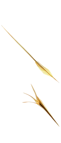 spikelets,enokitake,feather bristle grass,hare tail grasses,yellow nutsedge,grass blades,elymus repens,black salsify,grass fronds,reed grass,decorative arrows,quills,wheat ear,hare tail grass,cattail,dried grass,hand draw vector arrows,tweezers,strand of wheat,bobby pin,Conceptual Art,Sci-Fi,Sci-Fi 24