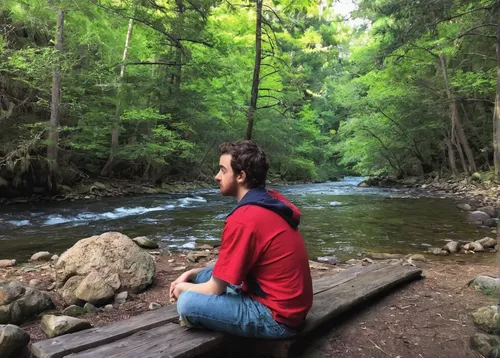 meditating,meditation,meditative,meditate,nature and man,meditating his life,live in nature,contemplative,vipassana,zen master,spiritual environment,peacefulness,appalachian trail,contemplation,free wilderness,peaceful,forest workplace,perched on a log,stream,hanging bridge,Illustration,Paper based,Paper Based 27