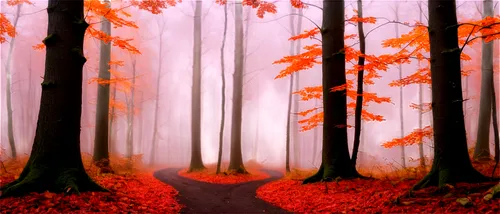 autumn forest,forest road,forest path,autumn background,autumn trees,forest background,fairytale forest,germany forest,cartoon forest,forest landscape,forest of dreams,maple road,red leaves,autumn walk,world digital painting,fairy forest,autumn theme,digital painting,red tree,forest walk,Conceptual Art,Daily,Daily 30