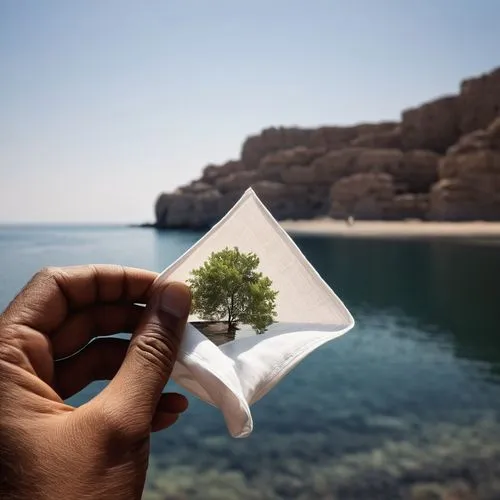 paper art,paper boat,3d art,thorgerson,origami paper plane,isolated tree,photoshop creativity,photo manipulation,3d albhabet,origami,small tree,compositing,transparent window,green folded paper,conceptual photography,message in a bottle,cube sea,3d mockup,paper ship,virtual landscape,Photography,Documentary Photography,Documentary Photography 11