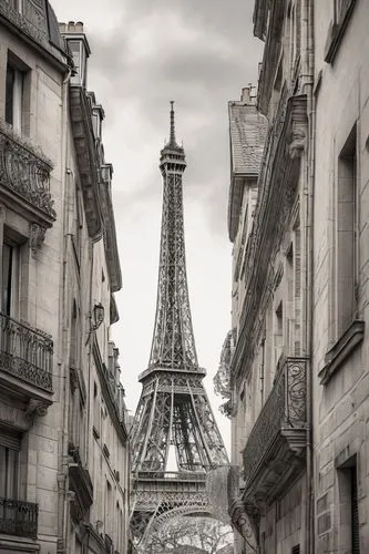 paree,pariz,paris,the eiffel tower,paris clip art,francia,french digital background,parisian,parisii,eiffel tower french,parigi,montmartre,france,paris - london,eiffel tower,french building,paris cafe,parisien,paris shops,tourisme,Illustration,Black and White,Black and White 11