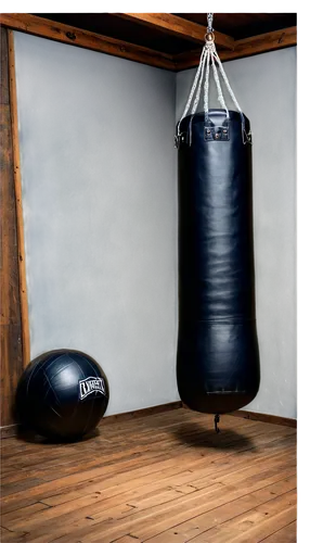 boxing gym background, dimly lit, punching bag, speed ball, boxing ring ropes, worn-out mat, wooden floorboards, metal equipment, intense atmosphere, dramatic shadows, low-angle shot, cinematic compos