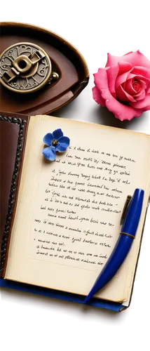 Open diary, leather bound, golden lock, ornate metal clasps, creamy paper, handwritten notes, blue ink pen, scattered rose petals, soft lighting, shallow depth of field, warm color tone, 3/4 compositi