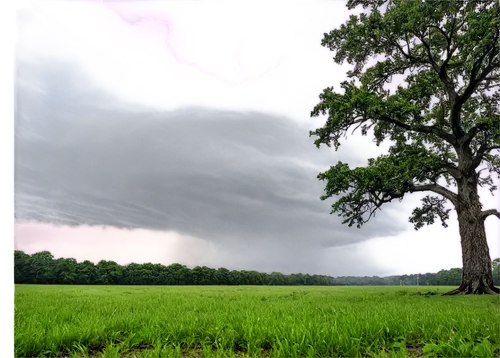 tornado drum,tornadic,downburst,mesocyclone,microburst,supercells,downbursts,shelf cloud,tornado,supercell,tornadoes,thundercloud,tishomingo,wxtv,superstorm,tarboro,wxia,sandersville,a thunderstorm cell,kmbc,Art,Classical Oil Painting,Classical Oil Painting 24