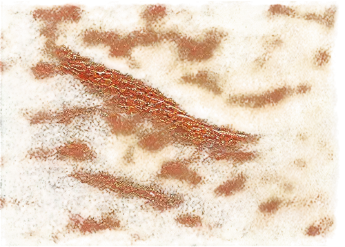 kngwarreye,abstract gold embossed,abstract painting,impasto,autumn leaf paper,color texture,ocher,felted and stitched,orange floral paper,autumn pattern,rusty chain,textured background,desert coral,chameleon abstract,fall leaf border,strata,marcil,autumn frame,watercolour texture,encrusting,Conceptual Art,Oil color,Oil Color 24