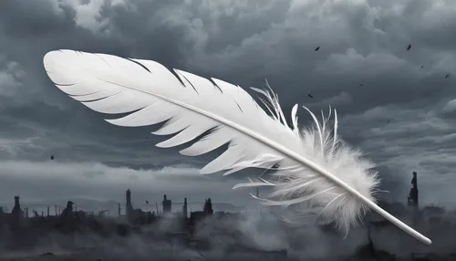 Write a poem capturing the beauty of a white feather gently falling from the sky.,angel wing,white feather,angel wings,angelology,angel of death,black feather,winged heart,dove of peace,raven's feathe