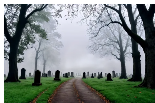 eerie,graveyard,aaa,cemetary,foggy landscape,burial ground,cancer fog,forest cemetery,life after death,tombstones,haunted forest,path,old graveyard,the mystical path,hollywood cemetery,gravestones,dead end,purgatory,grave stones,ground fog,Illustration,Realistic Fantasy,Realistic Fantasy 24