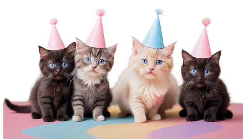 party hats,birthday banner background,party hat,birthday card,witches' hats,children's birthday,birthdays,birthday party,first birthday,birthday background,baby cats,second birthday,kittens,vintage cats,birthday template,cat family,birthday greeting,birthday invitation template,birthday invitation,party banner,Art,Artistic Painting,Artistic Painting 28