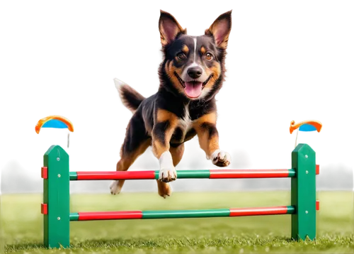 agility,schutzhund,bounderby,defence,dog frame,dog training,bolt clip art,defense,dog playing,aaa,dowiyogo,garrison,hurdler,seesaw,dog running,jumpiness,aaaa,bouncier,dog house frame,german shepherd dog,Conceptual Art,Fantasy,Fantasy 28