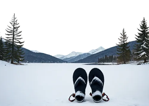 snowshoe,crampons,winter shoes,winter background,winter sports,winter sport,hiking shoes,cross-country skiing,winter trip,ski touring,outdoor shoe,hiking shoe,mountain boots,ski equipment,winter boots,outdoor recreation,low tatras,cross country skiing,nordic skiing,tatra mountains,Art,Classical Oil Painting,Classical Oil Painting 35