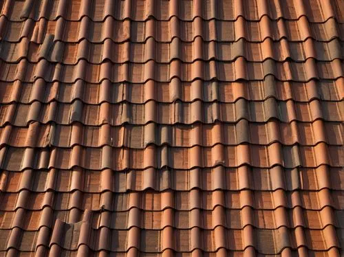 roof tiles,tiled roof,roof tile,shingled,clay tile,metal roof,almond tiles,terracotta tiles,house roof,roofline,house roofs,hall roof,tiles,tiles shapes,slate roof,rooflines,roofing,the old roof,roof landscape,roof panels,Art,Classical Oil Painting,Classical Oil Painting 36