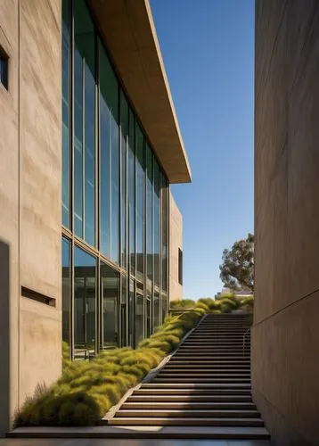 UCLA, university, campus, building, modern architecture, clean lines, geometric shapes, glass facade, steel frame, minimalist design, brutalist style, concrete walls, green roofs, courtyard, stairs, c